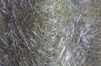 Doddinghurst fibreglass roof work